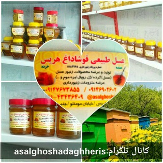 عسل قوشاداغ هریس (@asalghoshadaghheris)