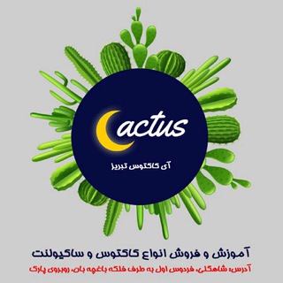آي كاكتوس تبريز (@aycactus)