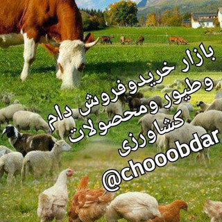 خرید وفروش دام ومحصولات کشاورزی (@chooobdar)