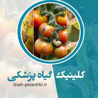 کلینیک گیاه پزشکی (@clinicgiah)