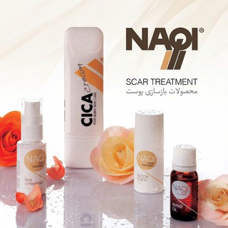 NAQI & BESHELL (@companysanagostar)