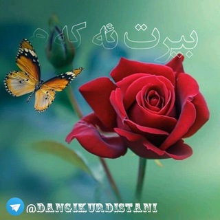 بیرت ئہڪہم (@dangikurdistani)