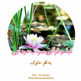 نیلوفر آبی، سراب مردابی. «دلبرک🌾» (@delbar_koochak)