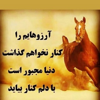 دل نوشته های امیر پیروی (@delnaveshtehayamir)