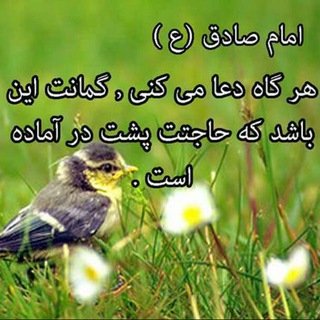 فایل های کامل قرآن (@failsotivamatnighoran)