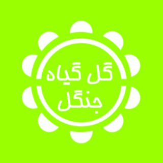 گل وگیاه جنگل (@flowerandplantjungle)