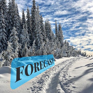 Forecast (@forecast18)