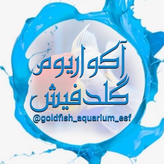 کانال آکواریوم گلدفیش (@goldfish_aquarium_esf)