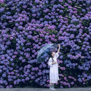 هایکوهای معاصر (@haikuland)