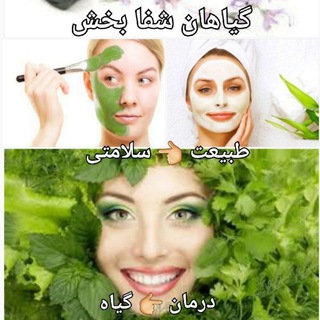 گیاهان شفا بخش (@healingplants521a)