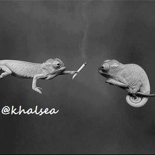 خلسه (@khalsea)