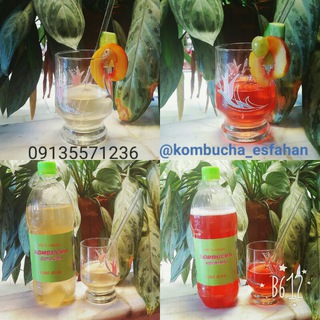 کامبوجا (کامبوچا، کومبوچا، kombucha) (@kombucha_esfahan)