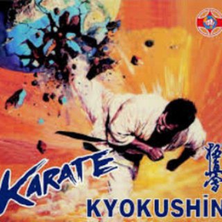 Kyokushin-Standard (@kyokushinmehrakbari)