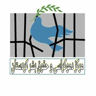 ماف نیوز (@mafnews1)