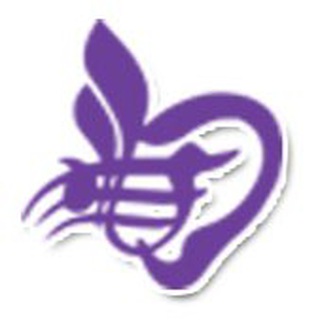 ماهان سمعک اسپادان (@mahansamakisfahan)