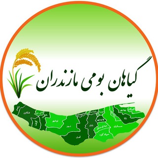 گیاهان بومی مازندران 🌱 (@mazandaranplants)