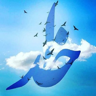 ف م (@mifa9)