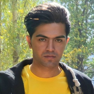 Morteza Zarlaki (@mortezachannel)