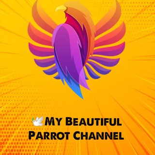 🕊️My Beautiful Parrot Channel (@mybeautifulparrot)