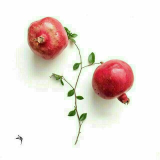 نگاهی تازه (@negahiii_tazeh)