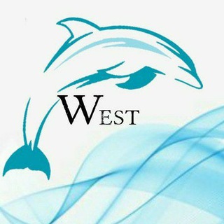 چینی WEST(اماتیس) (@onyx_co)