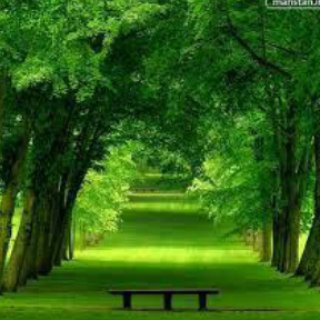 #دلاروسکه نقدی (@parvaz0)