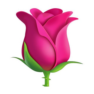 Plant care and gardening (@plant_green)