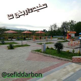 ❤ سفیدداربن ❤ (@sefiddarbon)