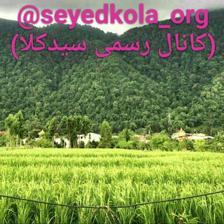 📡🌷کانال ویژه سیدکلا🌷📡 (@seyedkola_org)