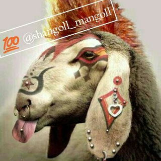 شنگول منگول (@shangoll_mangoll)