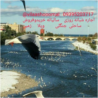 اجاره ویلا و سوئیت روزانه در شمال ساحلی و جنگلی و استخردار با قیمت مناسب (تنکابن و رامسر) (@vilaashooomal)