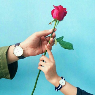 زوج درمانی و روانشناسی مهروماه (@zanashoii_ravanshenasi)
