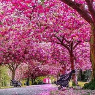 پرسش و پاسخ حسابداري )&(تهران) (@joinchat/greq60ixwhccfd3tgofl-g)