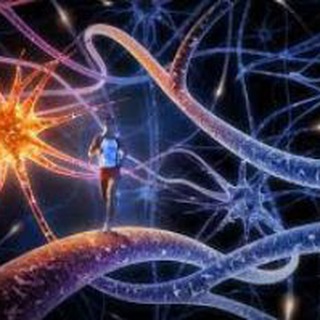 Biology_channel (@biology_channel_telegram)