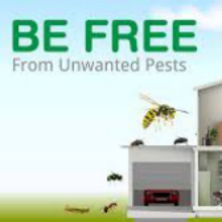 Pest Control (@armantoseepakzist)