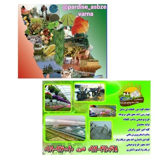 شرکت کشاورزی وکشت وصنعت پردیس سبز وارنا (@pardise_sabze_varna)