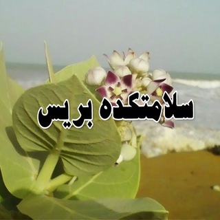 سلامتکده بریس (@salamatkade_beris)
