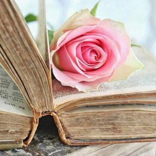 کلیپ و جملات عاشقانه و زیبا (@romankhan)