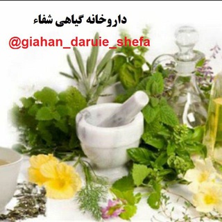 داروخانه گیاهی شفاء- شهر گرماب (@giahan_daruie_shefa)