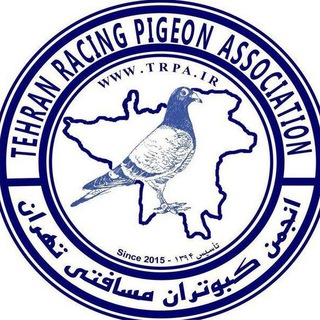 کانال تخصصی انجمن 🕊مسافتى تهران (@tehranracingpigeonassociation)
