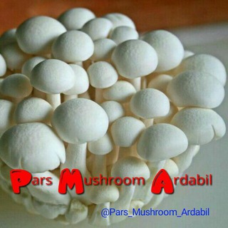 آموزش کشت و پرورش قارچ خوراکی (@pars_mushroom_ardabil)