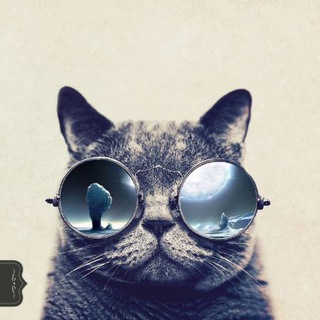 Mr.Pishi (@mrpishii)
