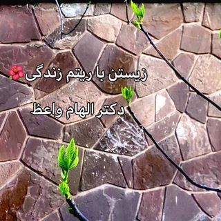 زیستن با ریتم زندگی🌺 (@drelhamv)