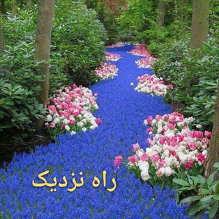 کانال راه نزدیک ( دکتربیتاجعفری) (@drbjafarinearway)