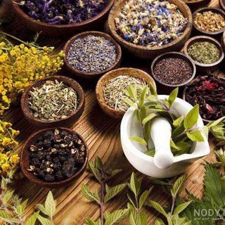 🪻طب سنتی و سلامت خانواده🪻 (@salamati_ba_damnoush)
