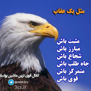 قوى ترين ماشين پولساز (@mlm3cs)