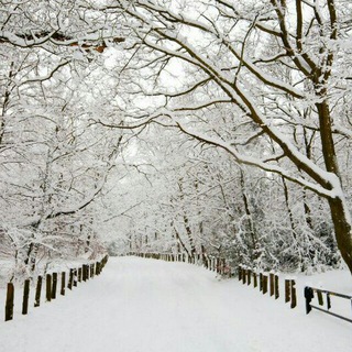گالری عکسهای برتر (@photologi)