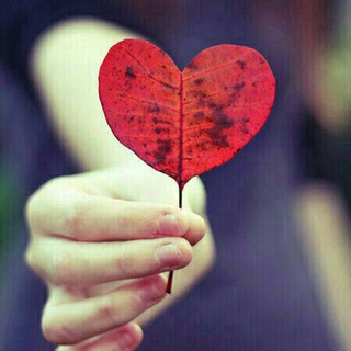 🌹ωαℓℓ ραραɛя🌹 (@the_best_wallpapers)