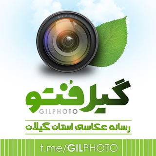 GilPhoto.ir گیل فتو (@gilphoto)