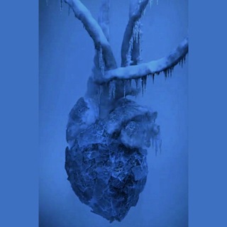 "قلبِ یَخی" (@ghalbeeyaakhi)